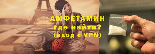 гидра Надым