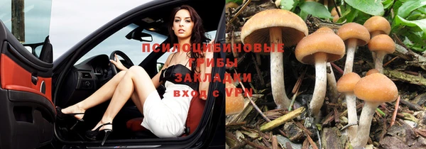 винт Алексин