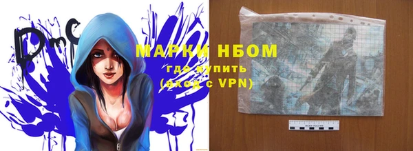 гидра Надым